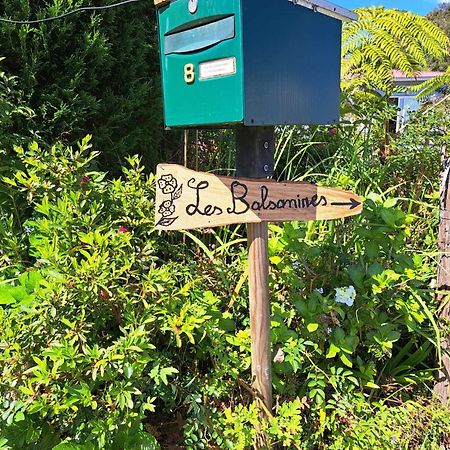 Appartamento Les Balsamines Chez Michele & Daniel La Plaine-des-Palmistes Esterno foto